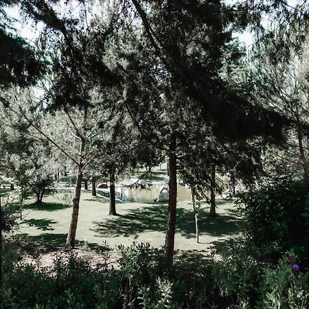 Quinta Do Cerrado Setubal Konuk evi Dış mekan fotoğraf