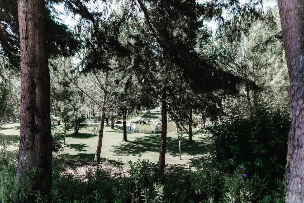 Quinta Do Cerrado Setubal Konuk evi Dış mekan fotoğraf