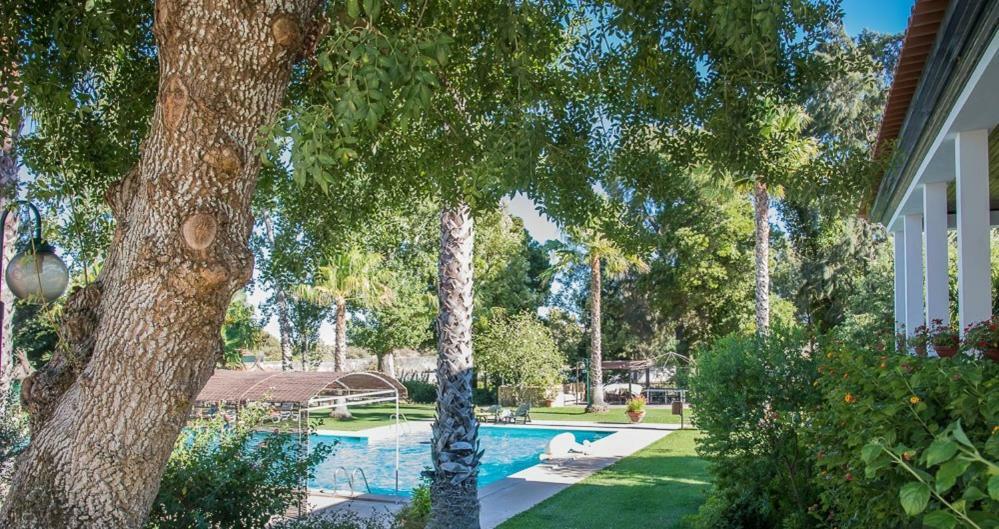 Quinta Do Cerrado Setubal Konuk evi Dış mekan fotoğraf